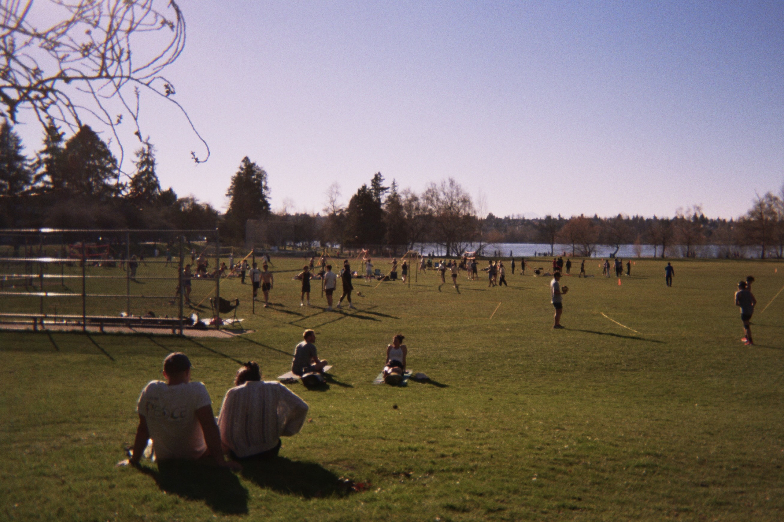 A grassy field filled with people engaging in various activities, with trees and a lake visible in the background