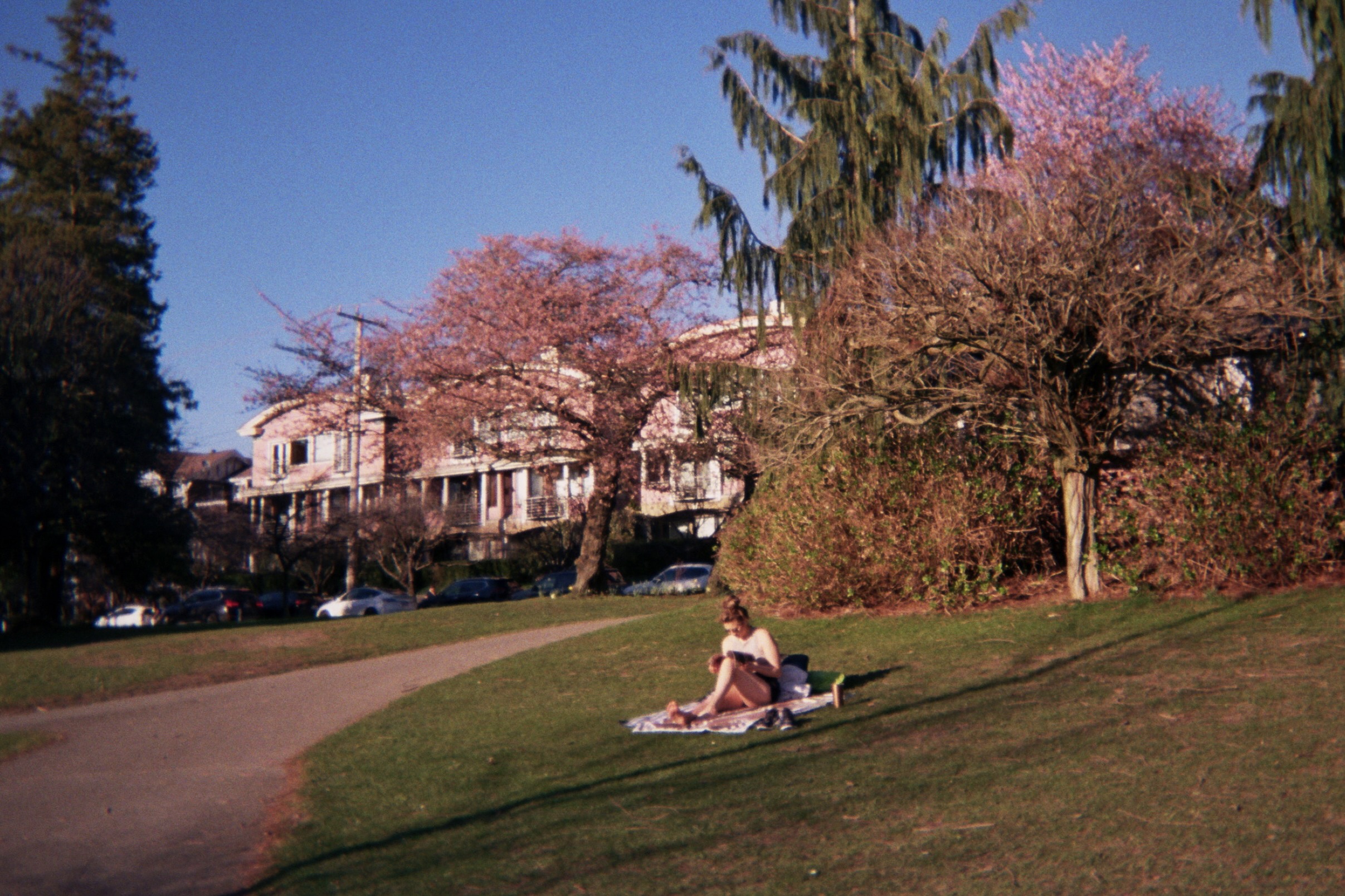 A person relaxing and reading on a blanket in a park, with cherry blossom trees and residential buildings in the background.