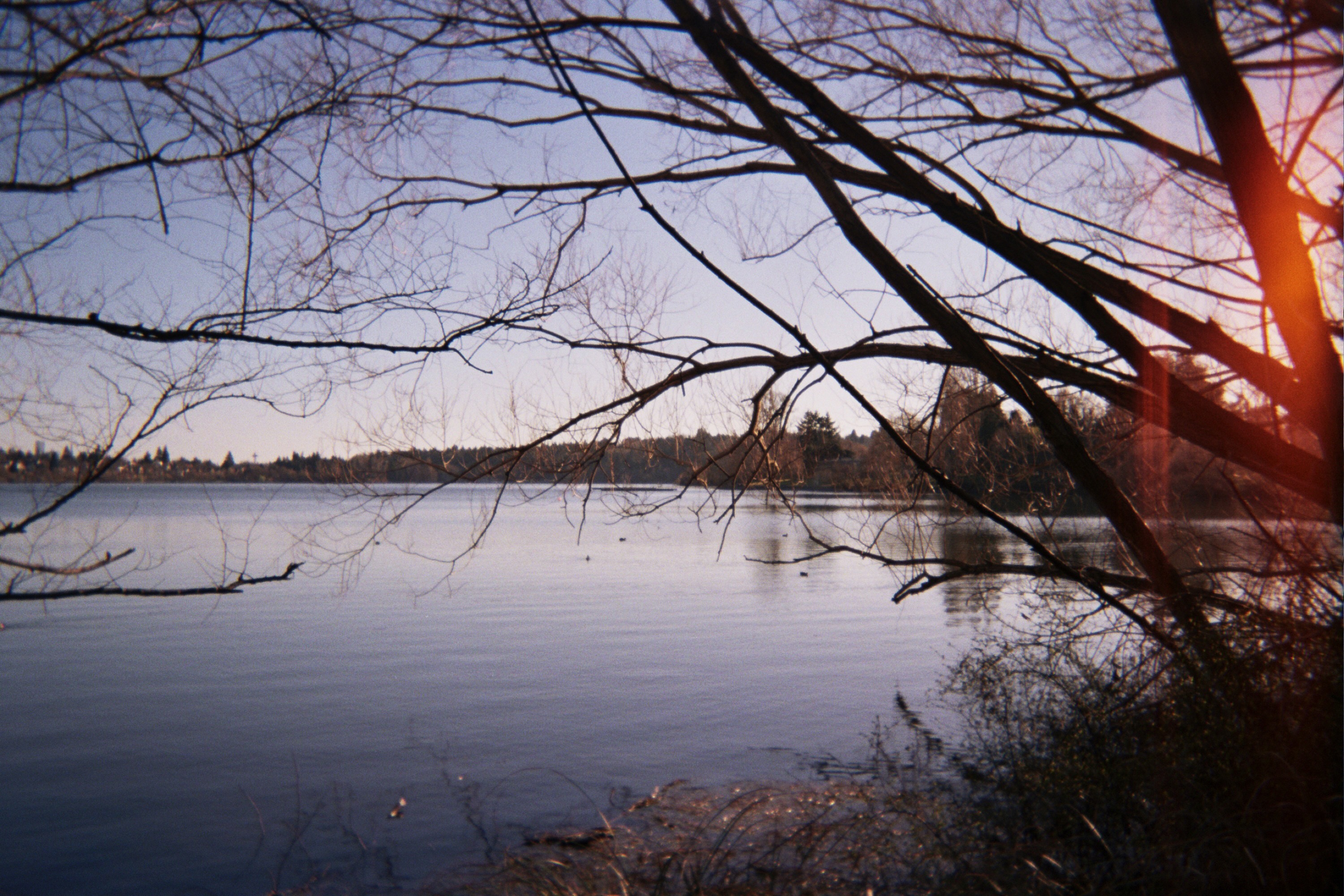 A serene lake view framed by bare tree branches, with the sun setting in the background.