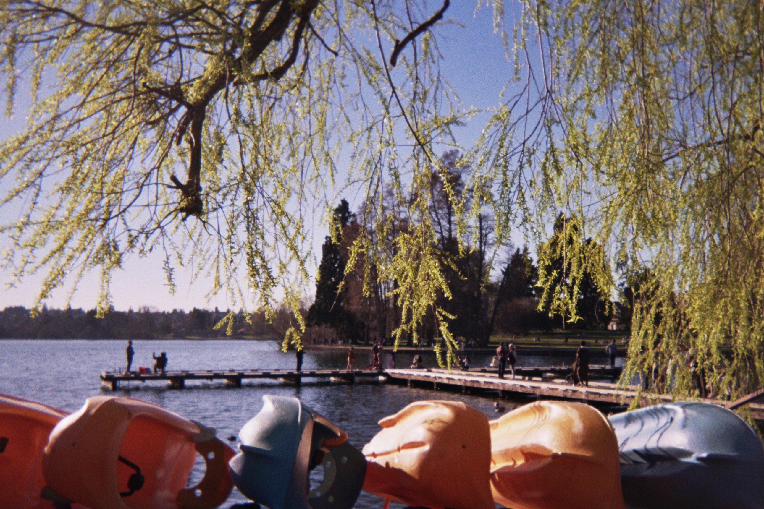 A sunny lakeside scene with a wooden dock, colorful kayaks in the foreground, and weeping willow branches framing the view.